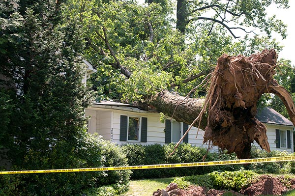 Storm Restoration Featured